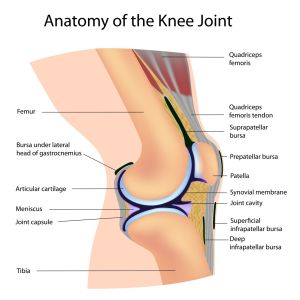 Patellar Dislocation Surgery