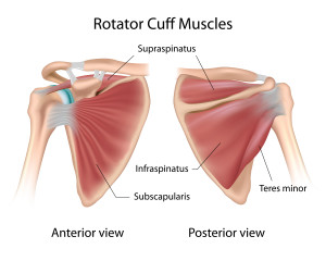 Torn Rotator Cuff Symptoms