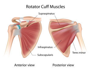 Rotator Cuff Tears