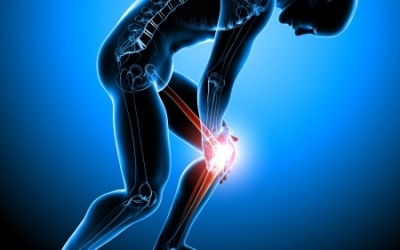 Torn Meniscus Treatment Options