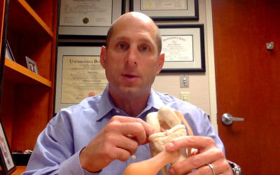 Meniscal Tears: What, Where, Why & When (Video)
