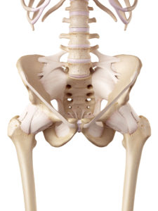 Hip Dislocation